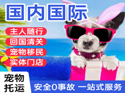 荆州沙市航空货运国际宠物托运 【国